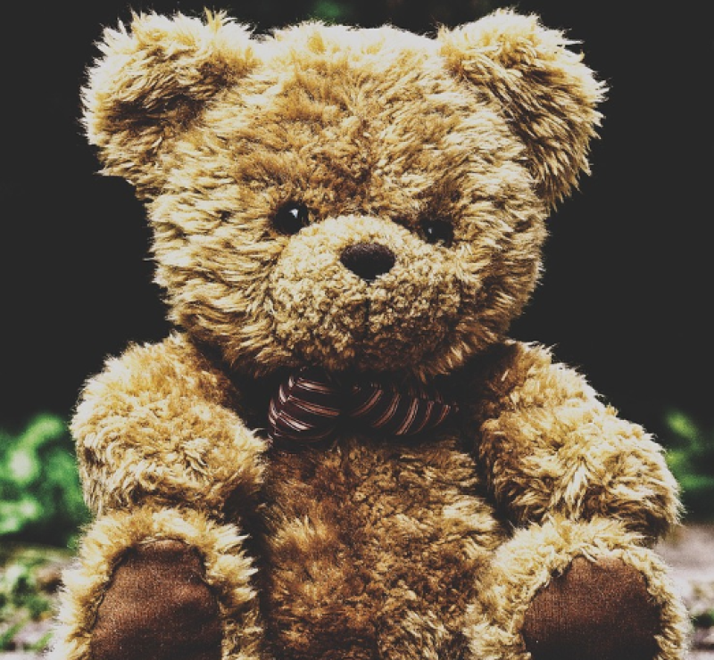 Teddybeer met ongebruikelijke inhoud aangetroffen bij DHL
