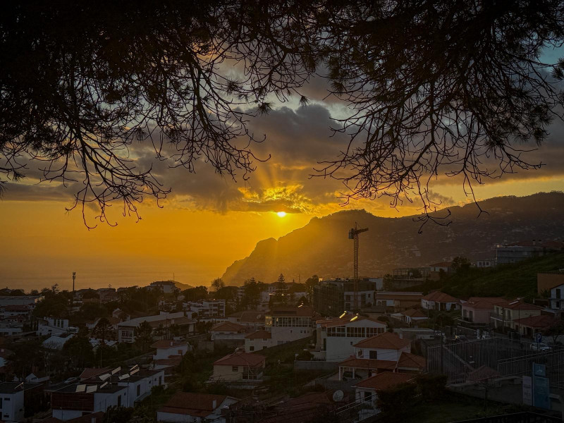🎥 P reist de wereld rond: Madeira, 'must see' of links laten liggen?