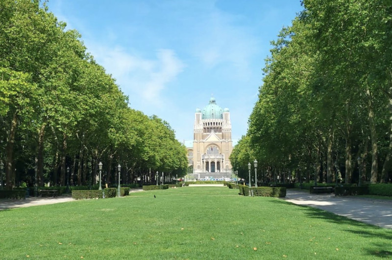 Man gewond na steekpartij in Elisabethpark in Koekelberg