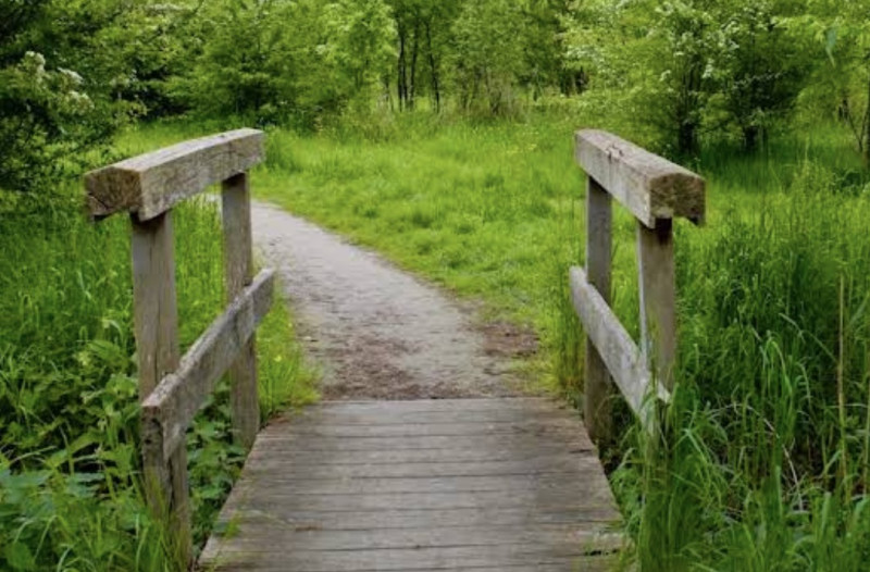 Oppositie eist debat over Mechelse bouwplannen in watergevoelig park Kantvelde