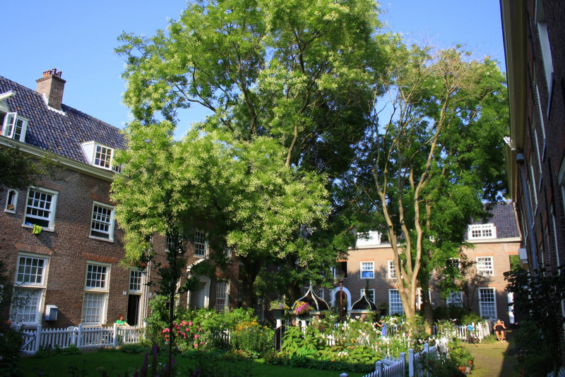 Vlaamse Maatschappij voor Sociaal Wonen: winst van ruim 5 miljoen euro in 2025