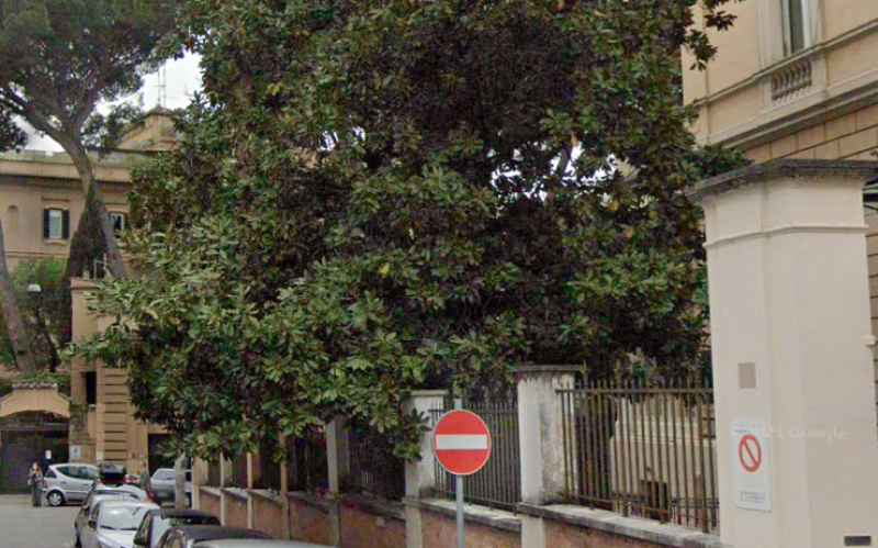 Exclusief: consternatie in Rome over kappen van magnolia van Paola - burgers redden boom in Via Jacopo Peri: “Non si tocca!“
