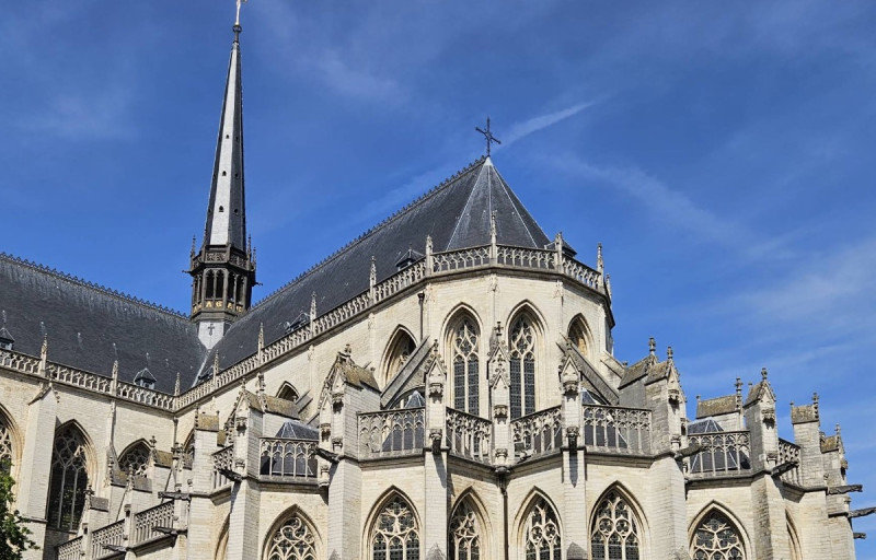 Niemand mag nog de toren in: asbest legt Leuvense Sint-Pieterskerk plat tot 2028
