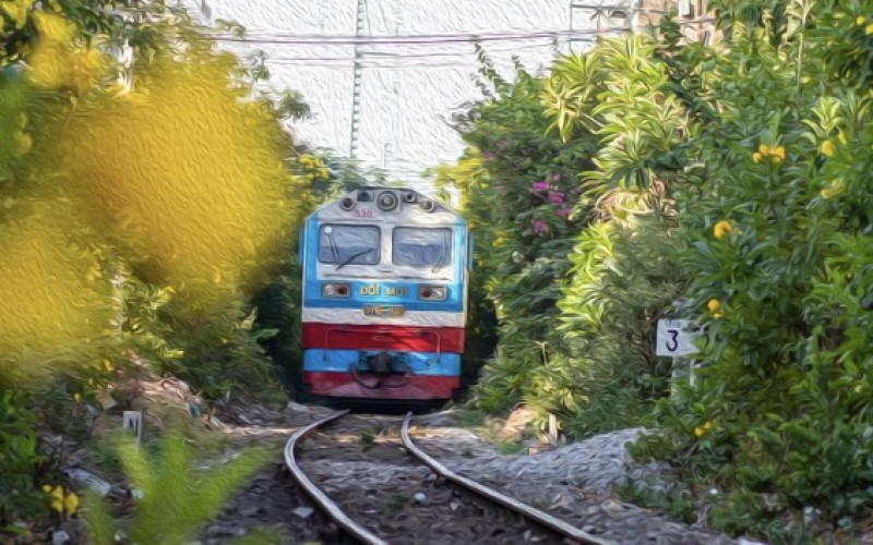 Boom valt op trein in Brussel: 300 reizigers geëvacueerd tussen Ukkel-Stalle en Linkebeek