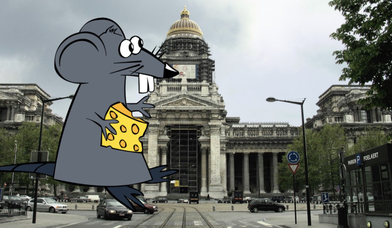 Brusselse justitie: vallende plafonds, ratten in bureaus en renovatie die langer duurt dan sommige beschavingen