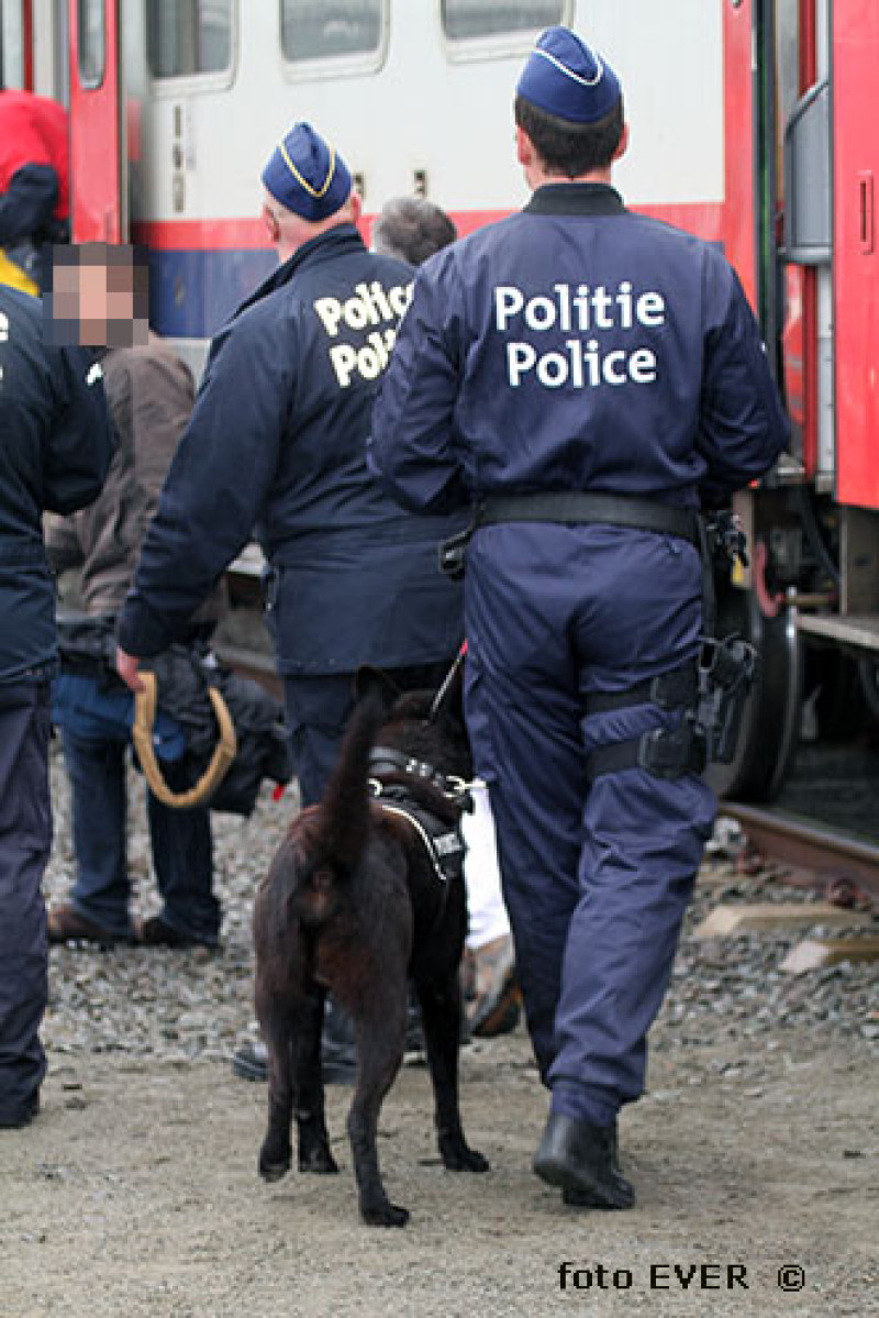 De Federale en Geïntegreerde Politie blijft maar liefst naar 2500 nieuwe elementen zoeken.
