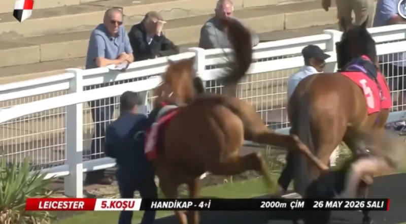 🎥 Paard geeft assistente vliegles