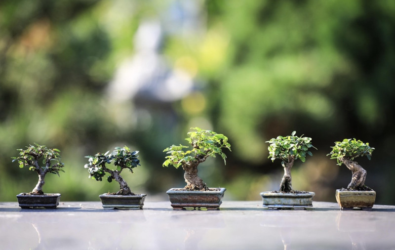 De tuin wordt de nieuwe mancave: waarom buitenleven in 2026 serieuzer wordt dan ooit