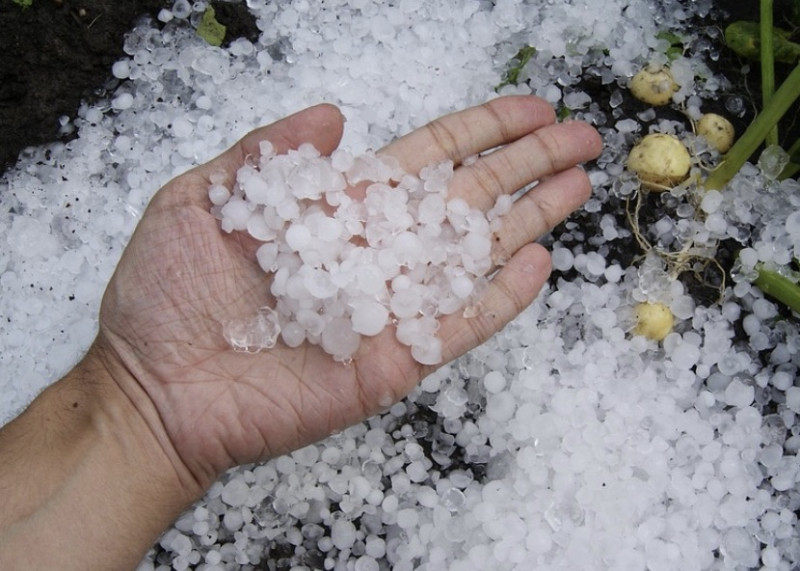 Hagelstenen van 5 cm in Willebroek: festivalgangers gewond na zwaar onweer in Kempen-Rivierenland