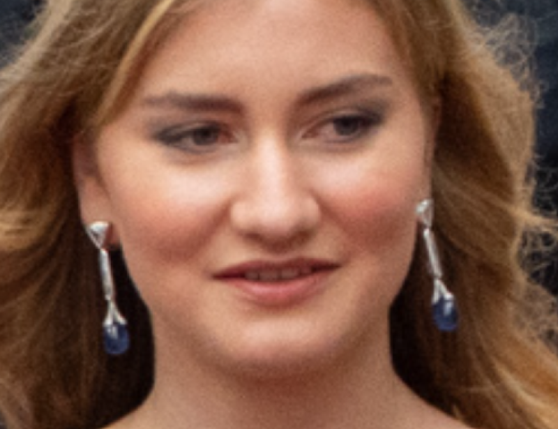Prinses Elisabeth krijgt in 2028 dotatie van minstens 1,2 miljoen euro
