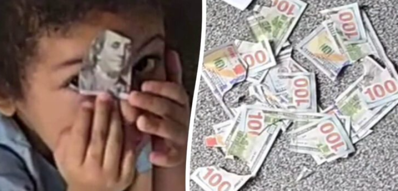 🎥 Peuter knipt 1.550 euro aan briefjes kapot voor knutselwerkje