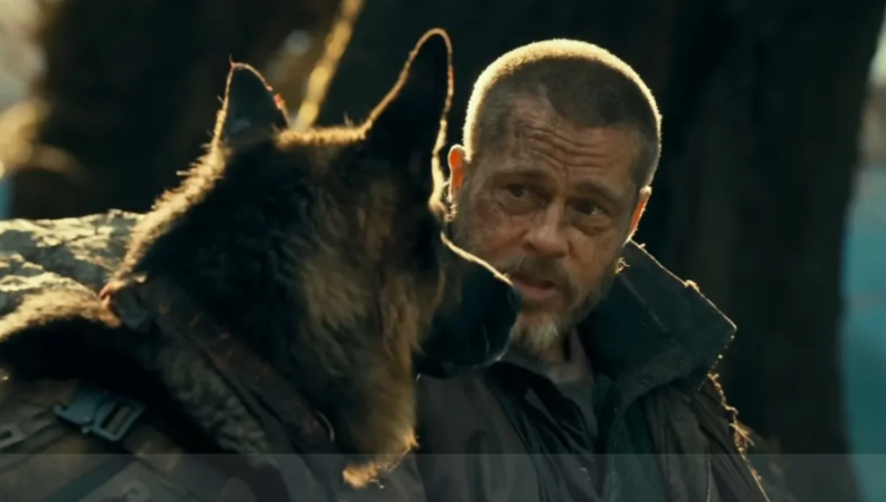 🎥 Brad Pitt en zijn hond versus Moeder Natuur