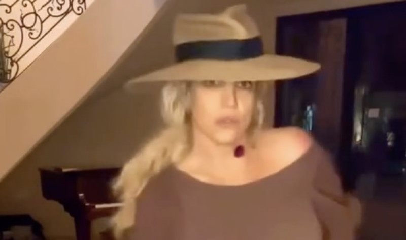 🎥 Britney spears flasht per ongeluk d’r poes