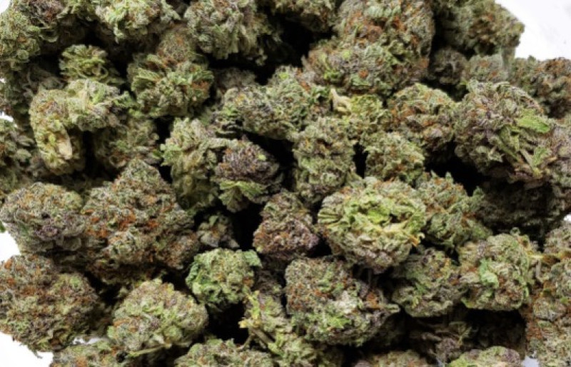 Mogelijk drugslab opgerold in Geetbets: federale politie en civiele bescherming de hele dag ter plaatse