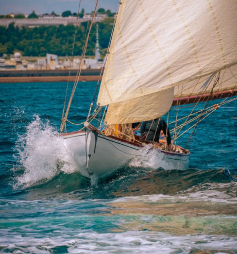 Exclusief: eerste jaarrekening Tethys Marine van Tom Waes gepubliceerd - dat viel ons op