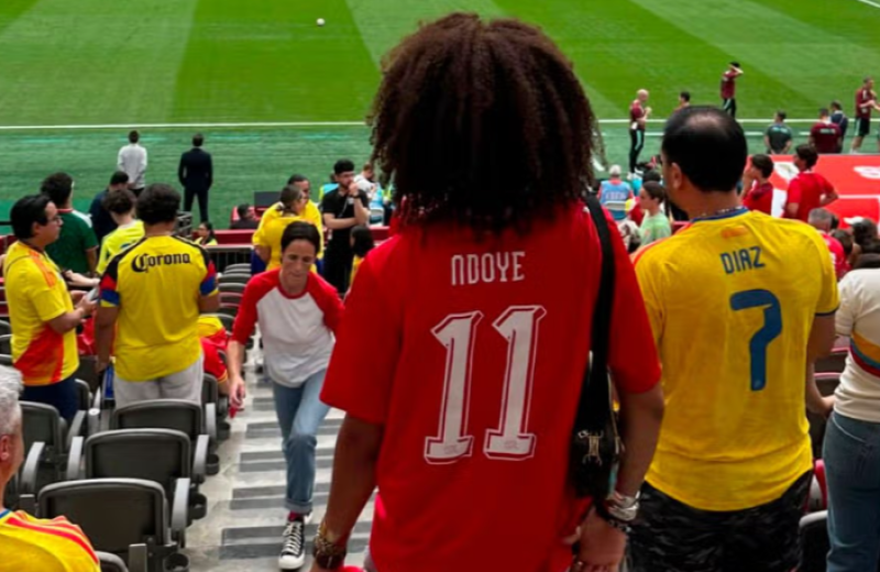 📸  Mysterie opgelost: dit was de opvallende Zwitserse fan op het WK