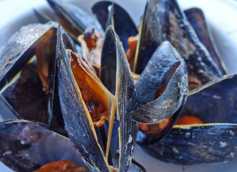 ALDI doneert mosselen aan Poverello in Oostende