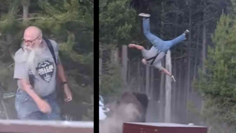 🎥 Boze bizon katapulteert opa meters de lucht in tijdens wandeling in Yellowstone