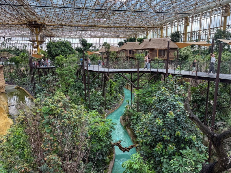 🎥 P op bezoek bij Pairi Daiza: lost nieuwe parel alle verwachtingen in?