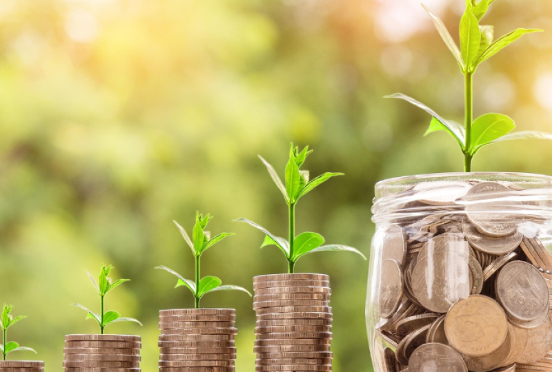 Gentrepreneur blijft groeien met investering en innovatie