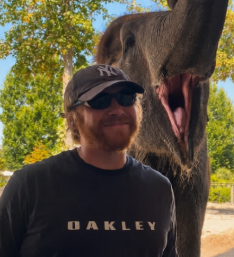 📸 Verrassing in Pairi Daiza: Harry Potter-ster gespot tussen de olifanten