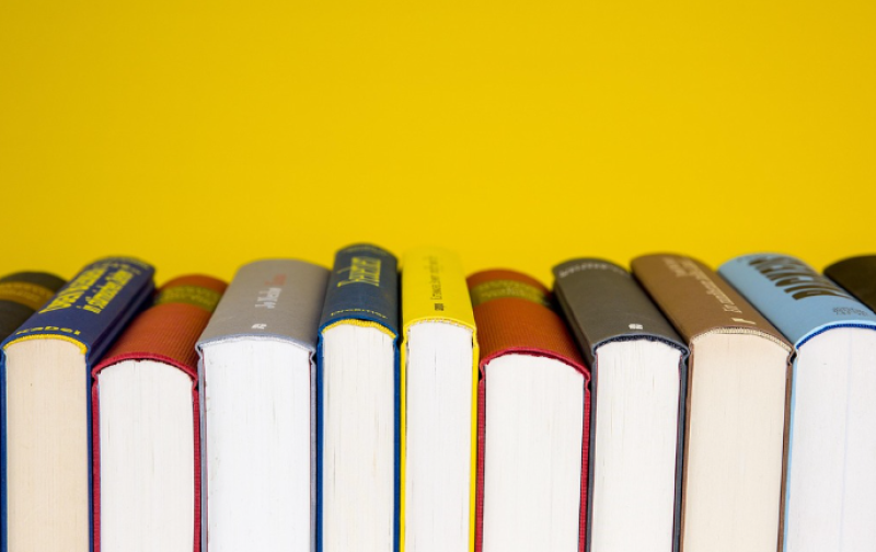Brugse bibliotheek opent digitale schatkamer met erfgoed