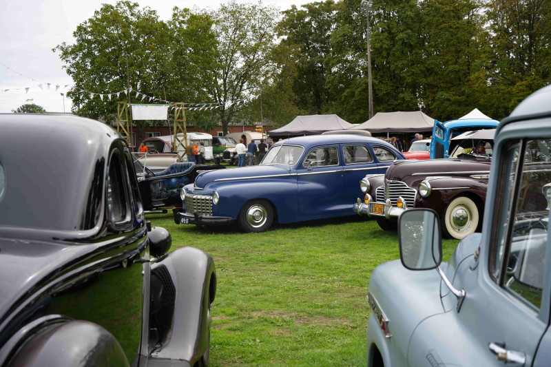 🎥 200 Amerikaanse klassiekers in Limburgs bos: Woodgetting is een feest voor autoliefhebbers