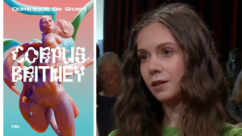 🎥 Britney Spears, The Sims en een heksenjacht: deze Vlaamse roman gooit alles in de blender
