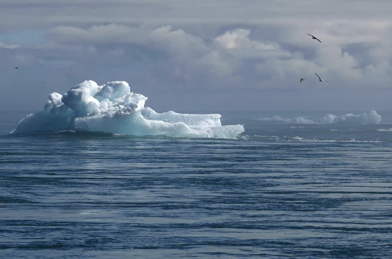 Warm? Klimaat. Koud? Ook klimaat: HLN ontdekt de weersvoorspelling die altijd klopt