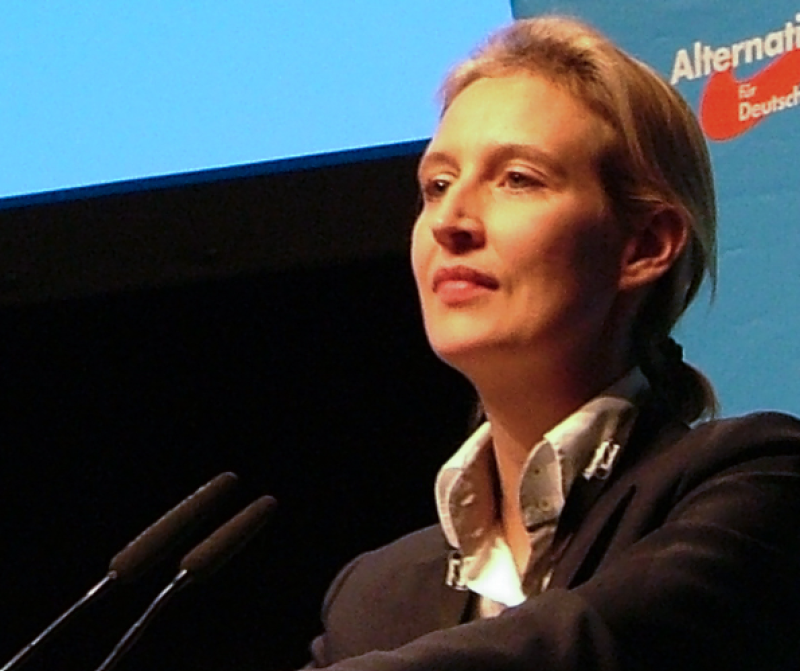 Gehackte AfD-mails bieden zicht op partij: vooral illegale donaties zorgwekkend