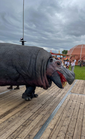 image 455259770_1019390756547434_209030756090745299_n in Pukkelpop 2024 gallery