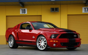 image 10 in 10M Mustang gallery