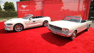 image 11 in 10M Mustang gallery