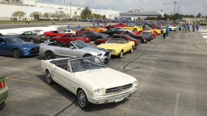 image 13 in 10M Mustang gallery