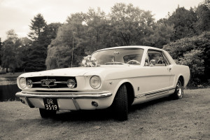 image 1 in 10M Mustang gallery