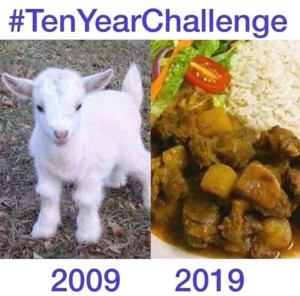 image 7 in 10year gallery