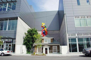 image 10 in 672 gallery
