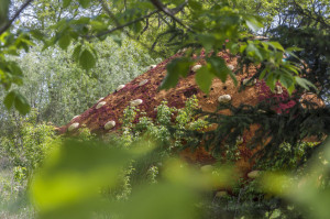 image 2 in aardbei gallery