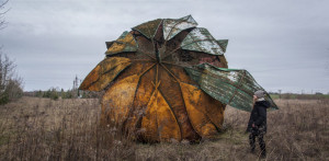 image 3 in aardbei gallery