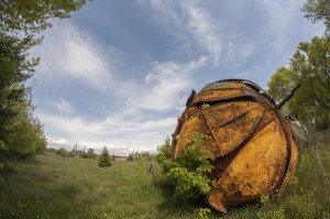 image 4 in aardbei gallery