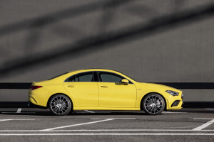 image 10 in amg banaan gallery