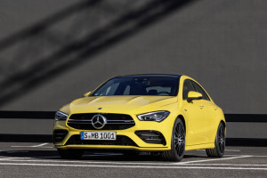 image 13 in amg banaan gallery
