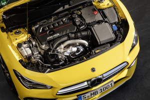 image 20 in amg banaan gallery