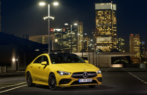 image 6 in amg banaan gallery