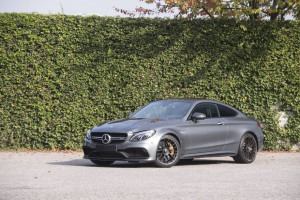 image 19 in AMG Verstappen gallery