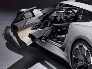 image 13 in Audi PB gallery
