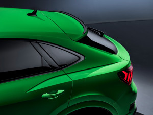 image 12 in audi sportbak gallery
