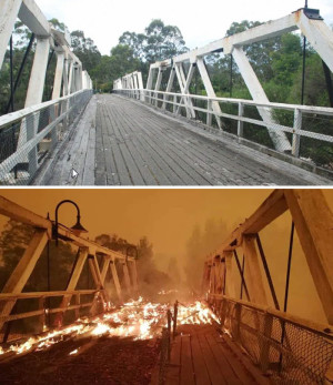 image 2 in australische bosbranden gallery