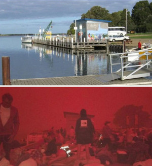 image 8 in australische bosbranden gallery
