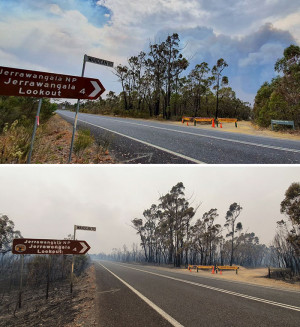 image 9 in australische bosbranden gallery